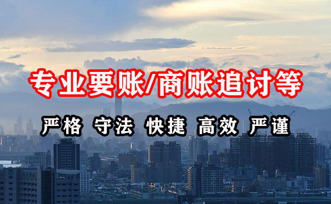 泰来追账公司