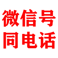 泰来金典追账公司